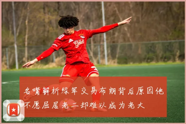 名嘴解析绿军交易布朗背后原因他不愿屈居老二却难以成为老大